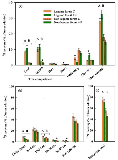 图1. 外源输入氮(大气沉降氮和氮添加)在豆科林和非豆科林中的留存和分配模式